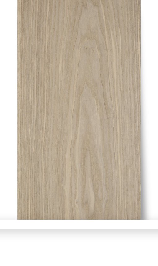 Ebonyandco - Continental Ash - Goby Sand Satin Poly